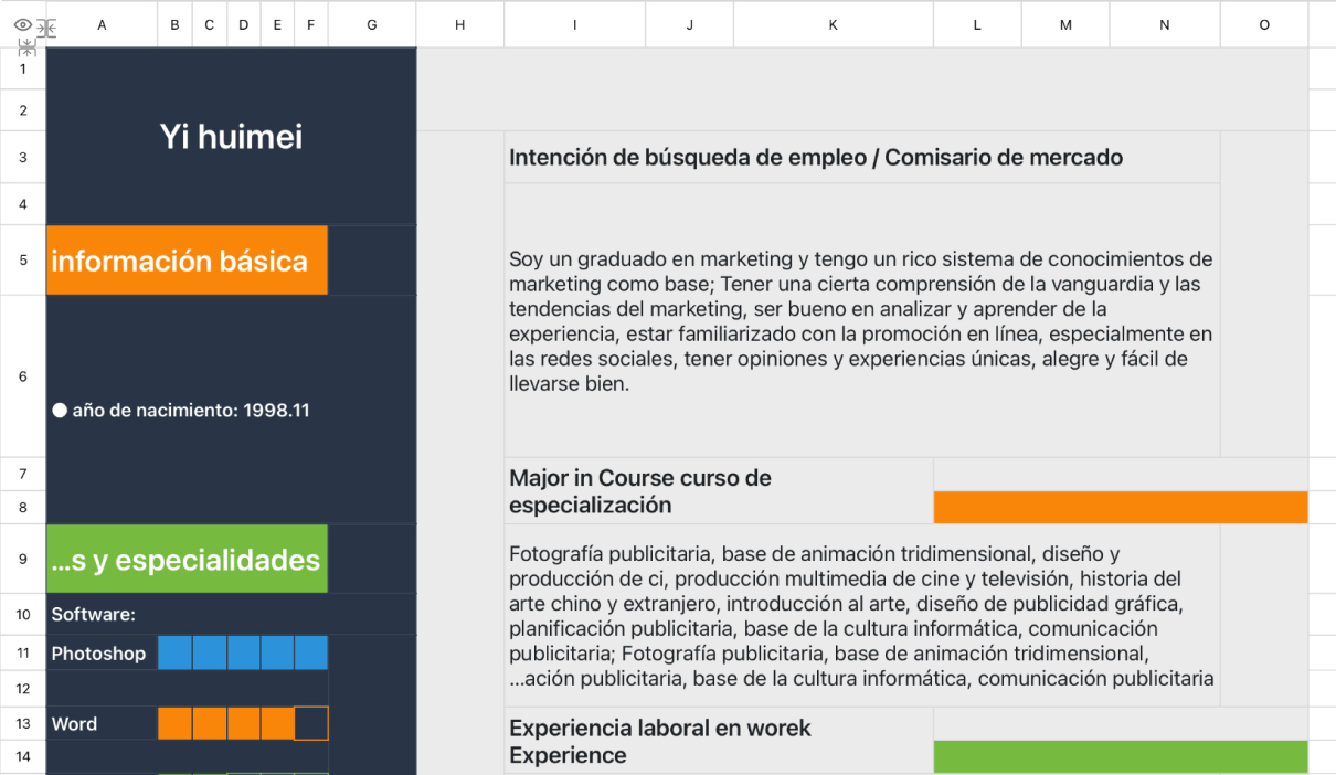 Currículum del Comisionado de marketing
